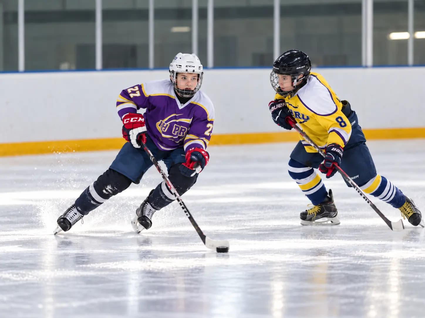 Host Clinics & Camps